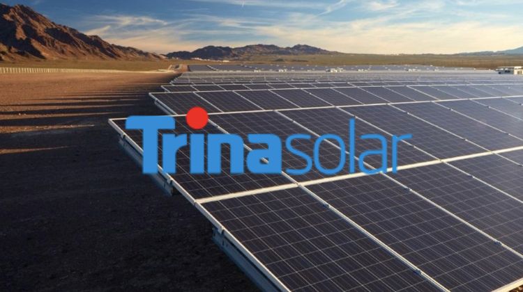 Los módulos de 210 mm lideran: Trina Solar obtiene una puntuación del 100% en la Encuesta de Bancabilidad de BNEF